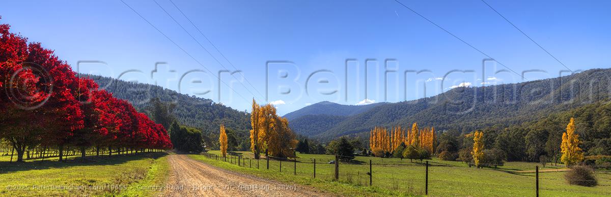Peter Bellingham Photography Country Road - Bright - VIC (PBH4 00 13876)